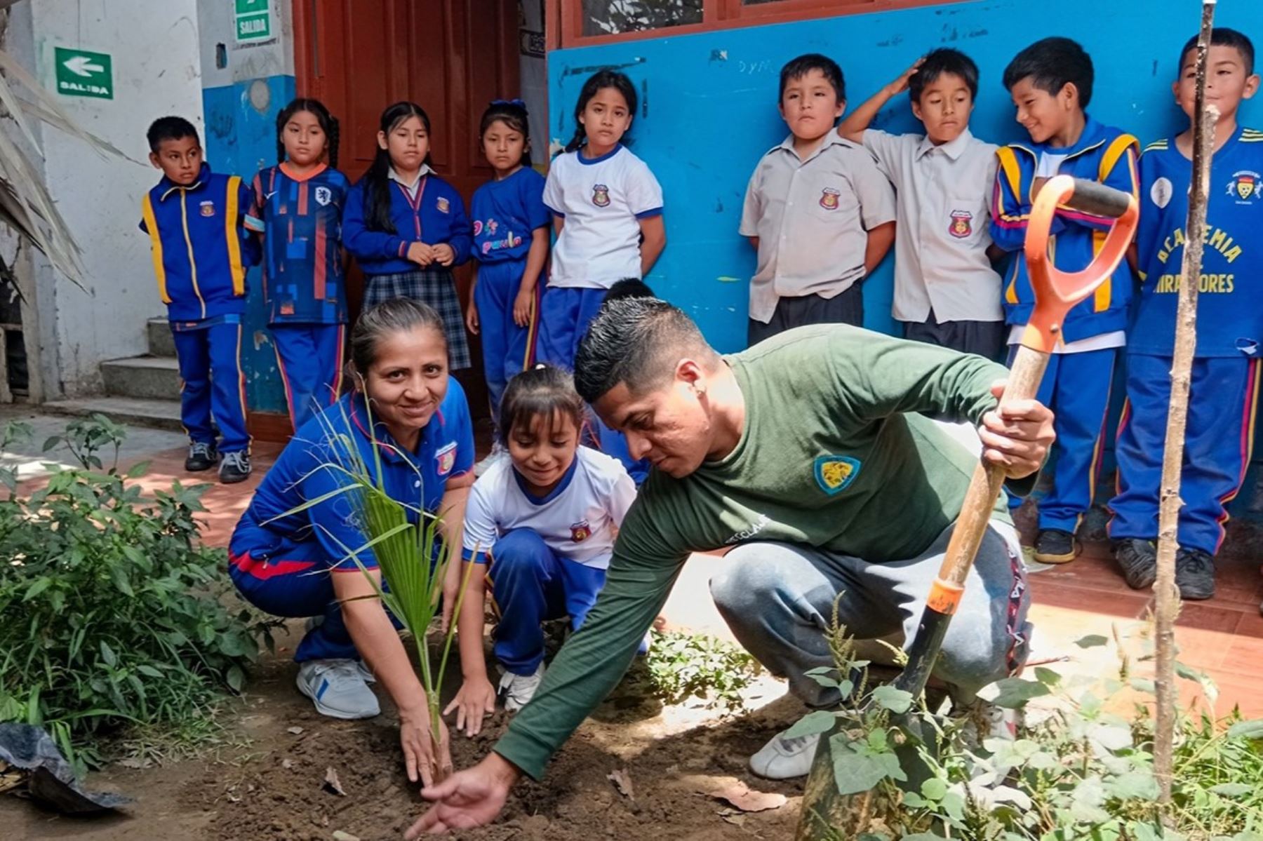 Docentes y escolares de uniforme azul con el escudo del plantel siembran un plantón de palmera en el jardín del colegio, con pala y tutores.