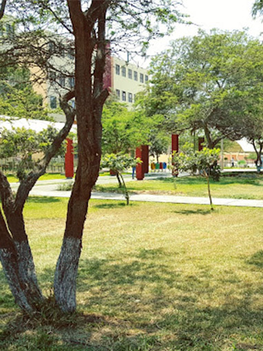 Parque central con palmeras del campus de la UNS en Nuevo Chimbote