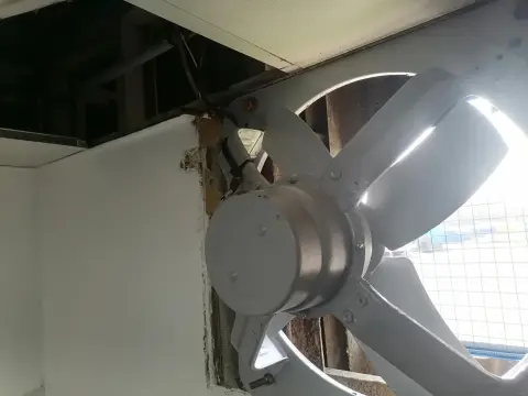 Galería