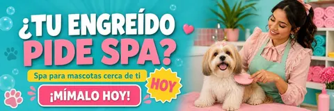 ¿TU ENGREÍDO PIDE SPA?