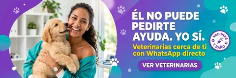 ÉL NO PUEDE PEDIRTE AYUDA. YO SÍ.