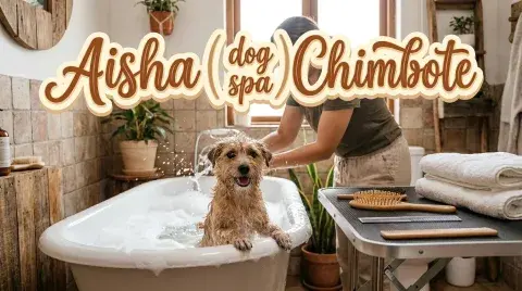 Aisha (spa canino) Chimbote
