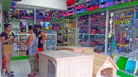 Foto 4