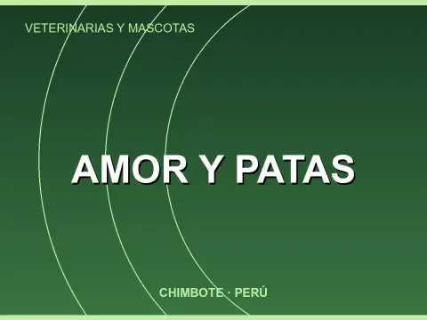 Amor y Patas