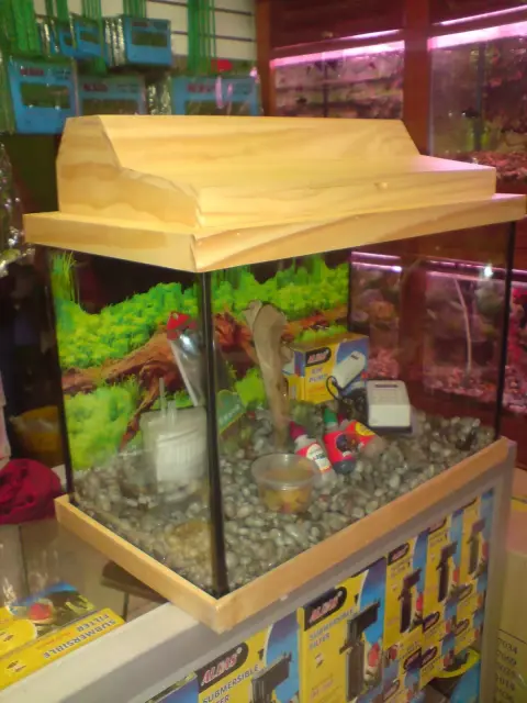 AQUATIC FISH CENTER chimbote MV 493