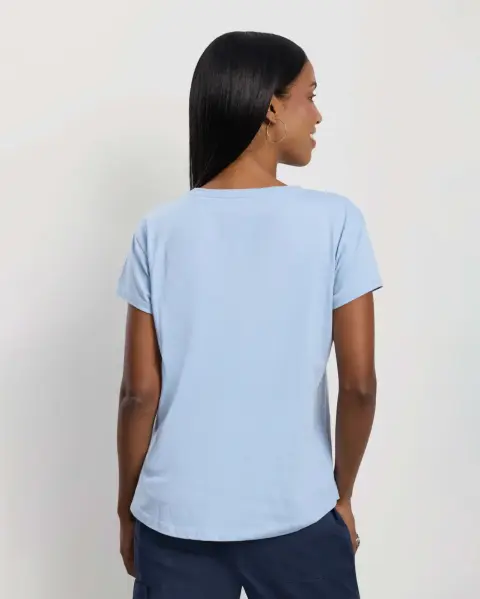 Polo Celeste Ártico