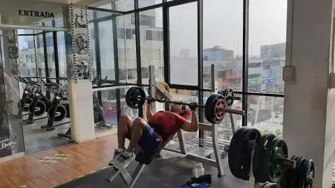 Plan trimestral con seguimiento mensual