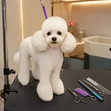 Corte de cabello clásico a tijera