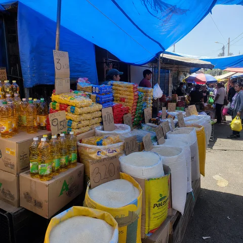 Canasta de abarrotes básicos del hogar