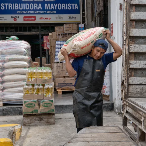 Abarrotes básicos de uso diario