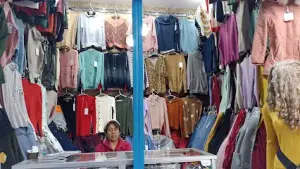 Bazar "Novedades Luisa"