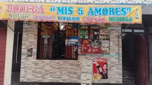 Bodega "Mis 5 amores"