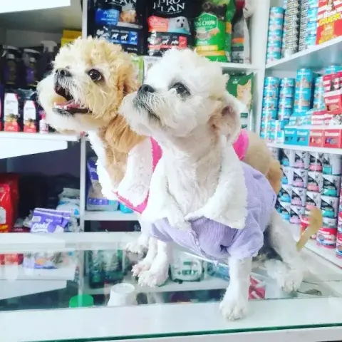 Foto 5