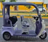 Trimoto eléctrica familiar BriAna 1000 W