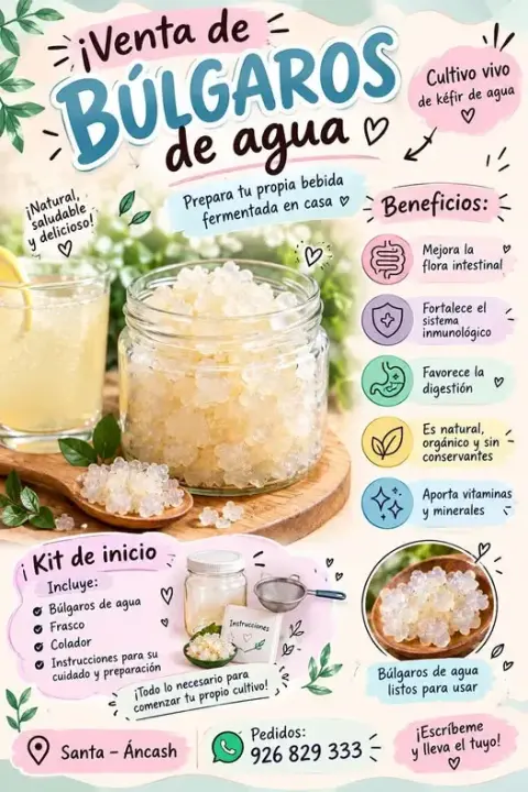 Kit de inicio de búlgaros de agua