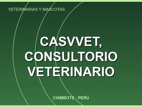 CASVvet, consultorio veterinario