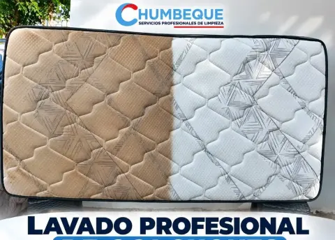 Lavado de Juego de Muebles + 8 Sillas GRATIS