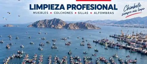 Lavado de Sillas de Comedor y Oficina