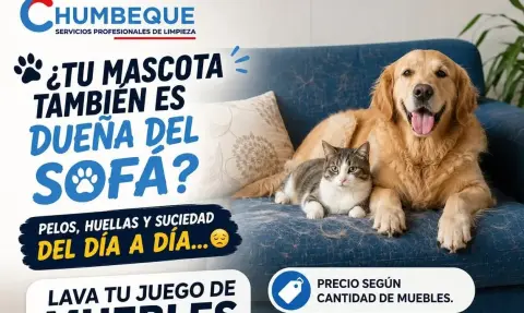 Lavado Profesional de Colchones (Recojo y Entrega en 48h)
