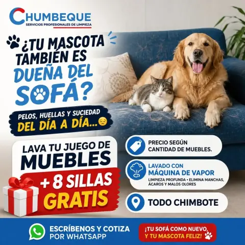 Chumbeque - Servicios Profesionales de Limpieza