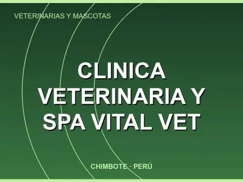 Clinica veterinaria y spa vital vet