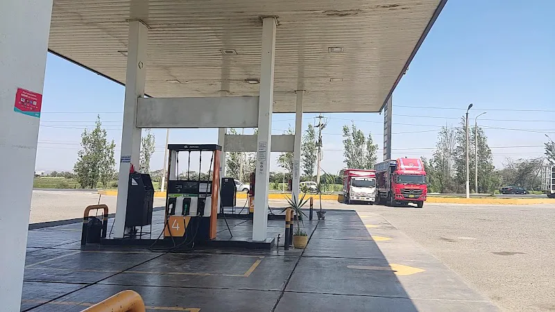Foto 4