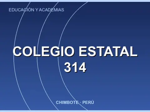 Colegio Estatal 314