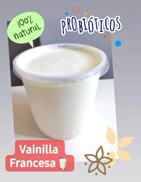 Yogurt natural con probióticos (vainilla francesa)
