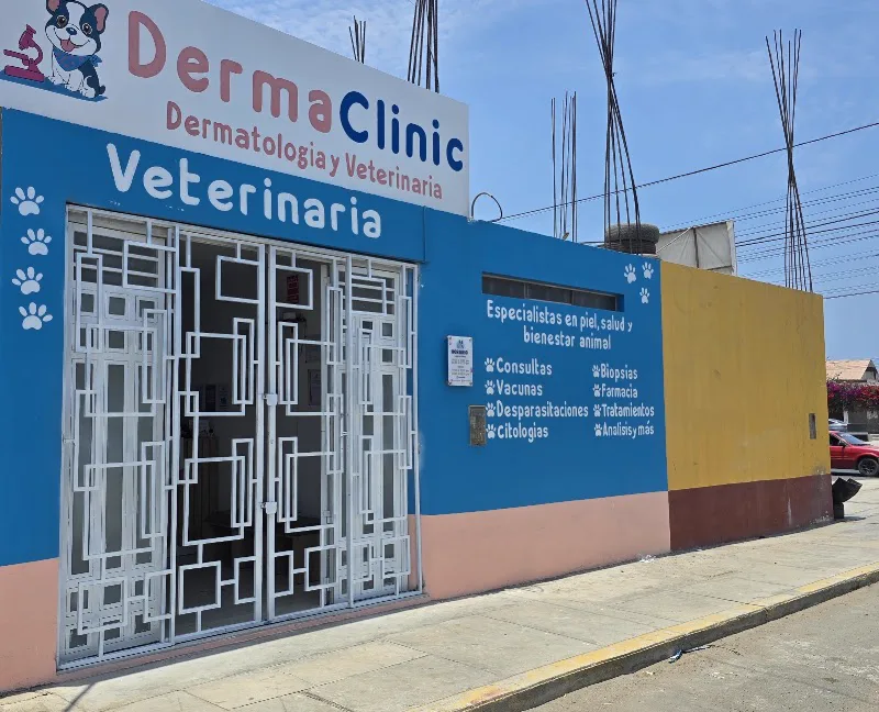 DERMACLINIC