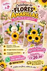 Entrega gratuita en puntos de Chimbote