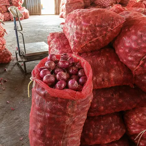 Malla de cebolla roja fresca 25 kilos