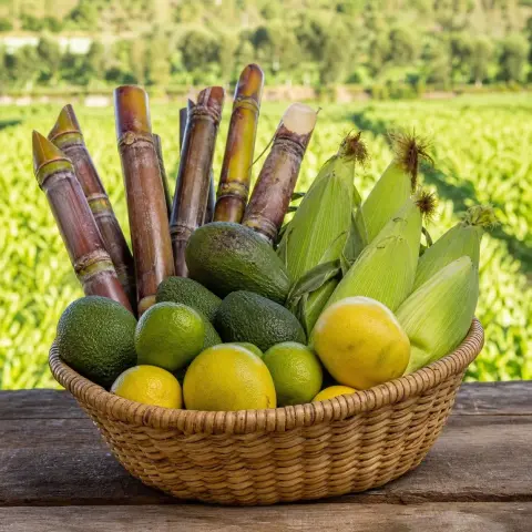 Pedido especial de productos de temporada