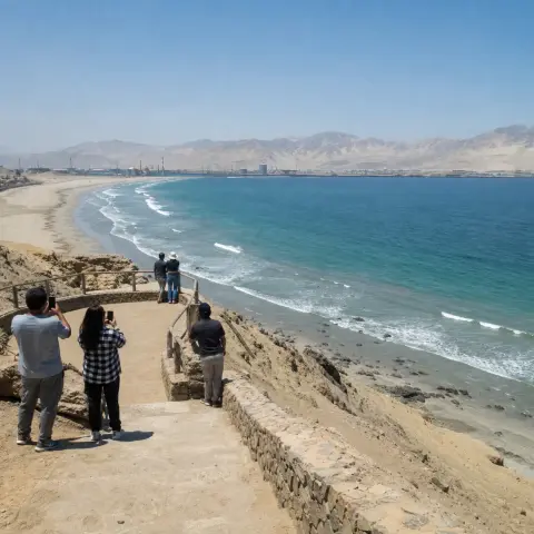 Tour a la playa y miradores de la bahía