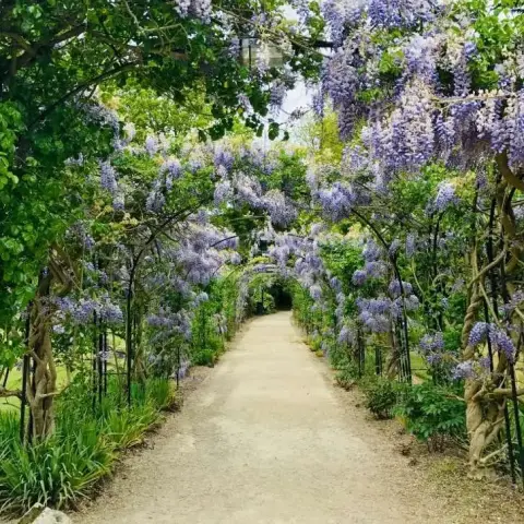Diseno de jardin con plantas de temporada