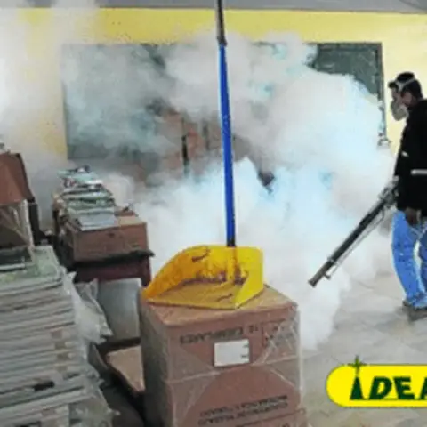 Inspección profesional y reporte inicial