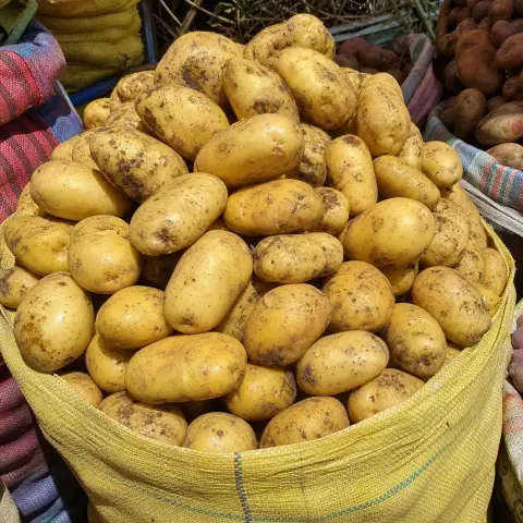 Papa amarilla fresca por kilo