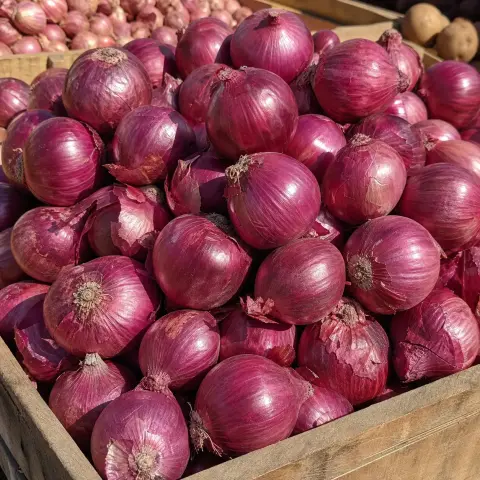 Cebolla roja fresca por kilo