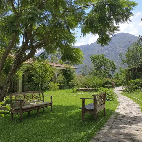 Espacio al aire libre con jardín