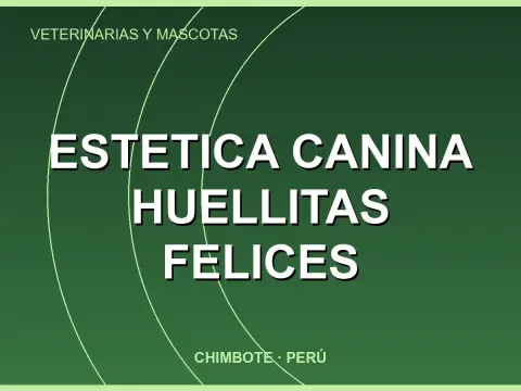 Estetica Canina Huellitas Felices
