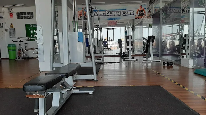 Fitness Studio Company
