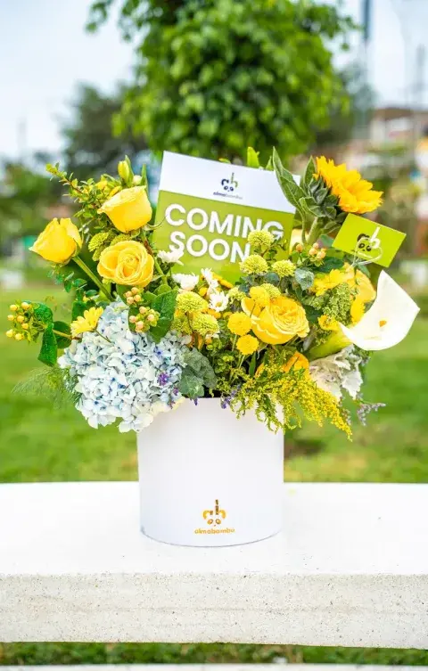 Flores y Detalles