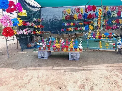 Foto 5