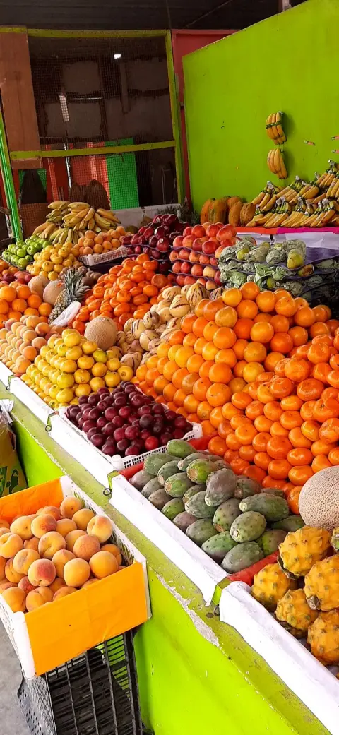 Frutas SHEDAY