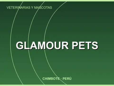 GLAMOUR PETS