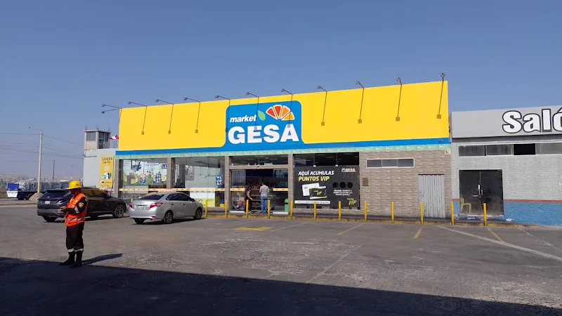 GRIFO GESA SANTA LUISA GNV