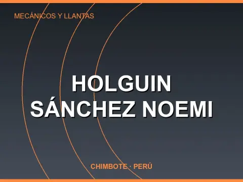 Holguin Sánchez Noemi