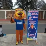 INGELECTUS, academia pre-universitaria en Chimbote: cursos de Álgebra, Aritmética, Razonamiento Matemático, Física, Química y Comunicación, pre-universitario para la UNT y la UNS, nivelación y reforzamiento escolar para secundaria, vacaciones útiles y pla