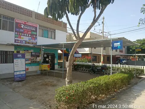 Inversiones y Servicios C&R SHADDAI