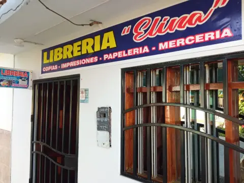 Libreria y novedades Elina