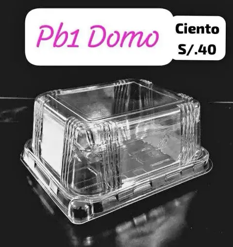 Domo PB1 con bisagra (venta por ciento)